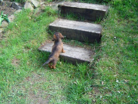 Kde ta máma lítá..